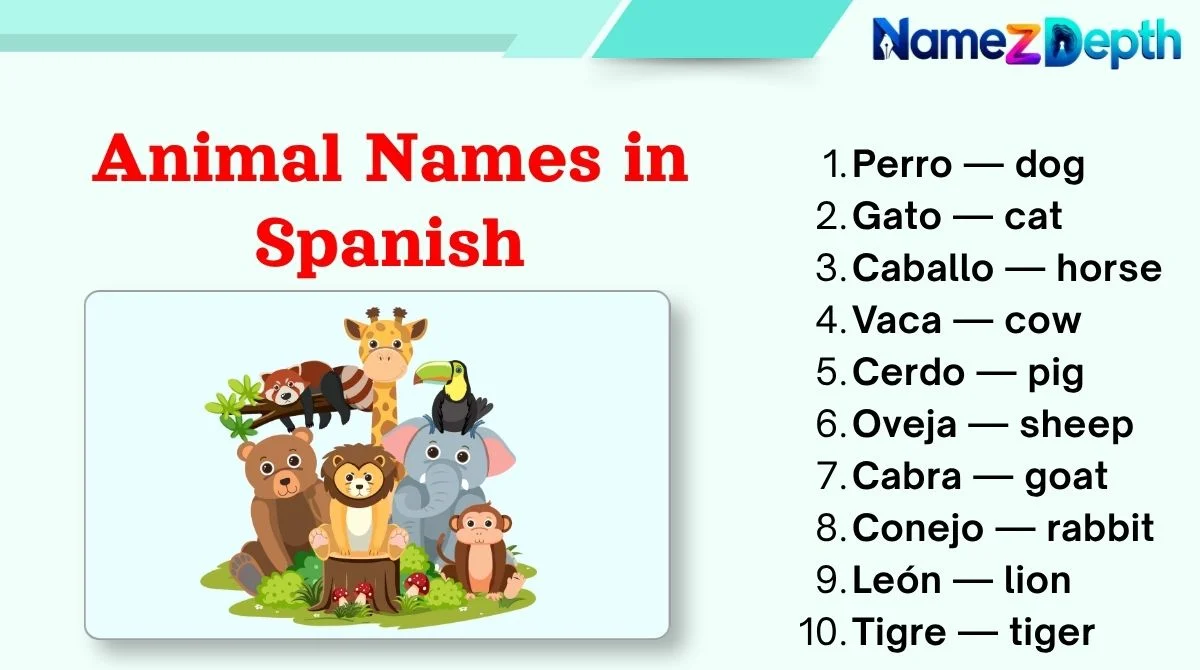 Animal Names in Spanish