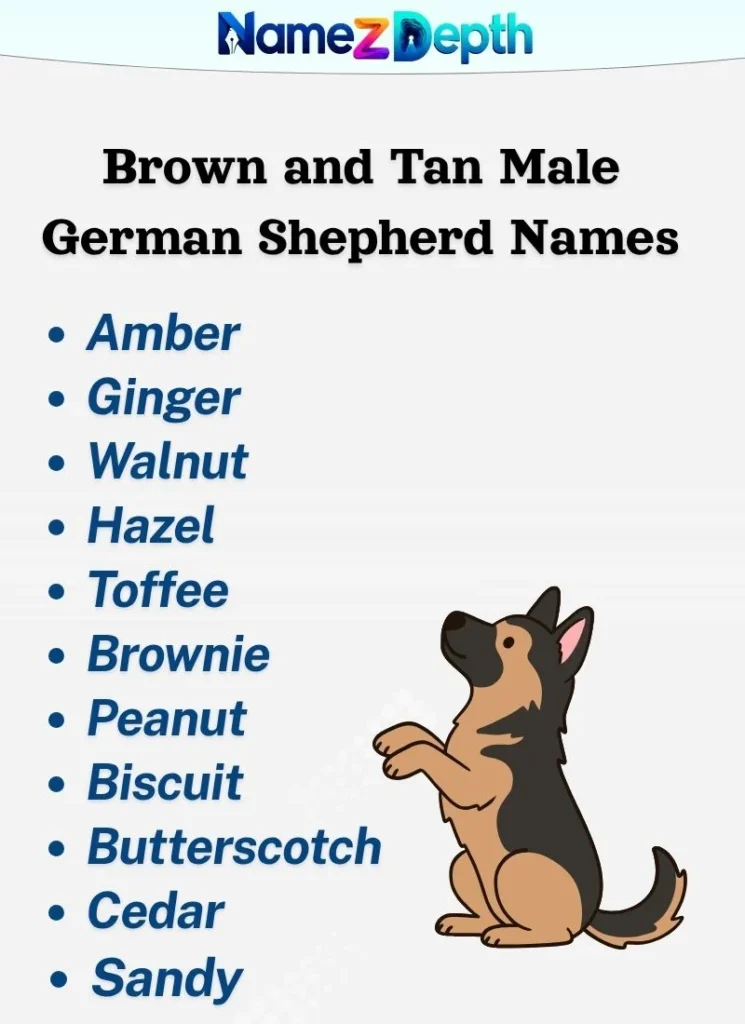 Brown and Tan Male German Shepherd Names