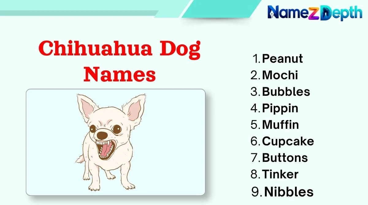 Chihuahua Dog Names