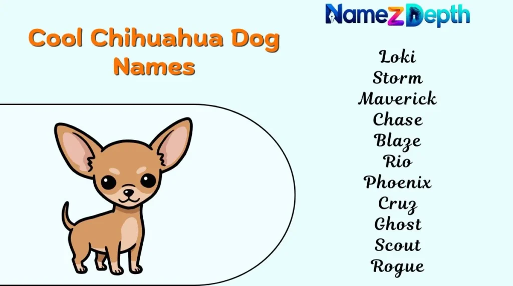 Cool Chihuahua Dog Names