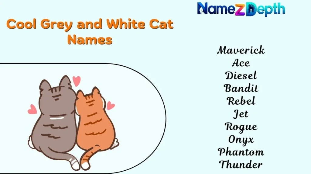 Cool Grey and White Cat Names