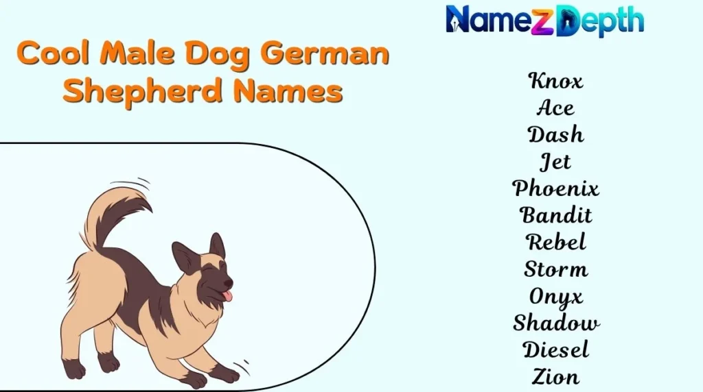 Cool Male Dog German Shepherd Names