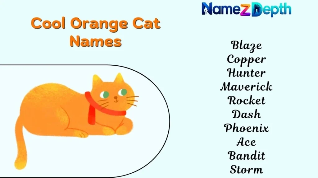 Cool Orange Cat Names