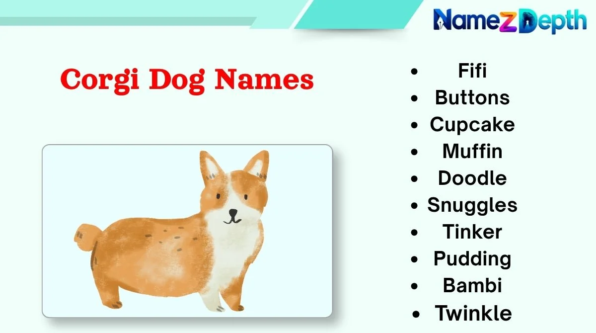 Corgi Dog Names