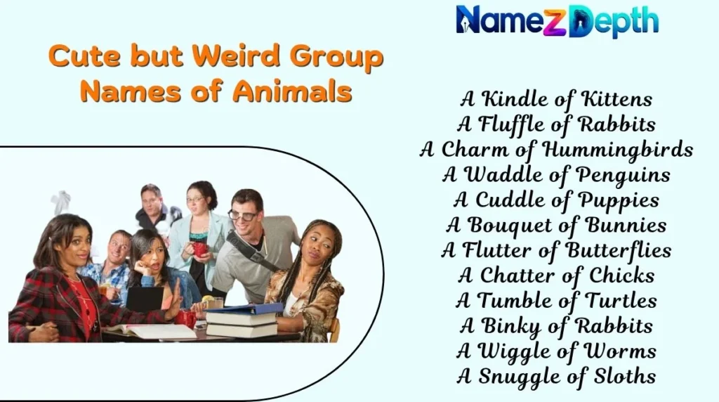Cute but Weird Group Names of Animals