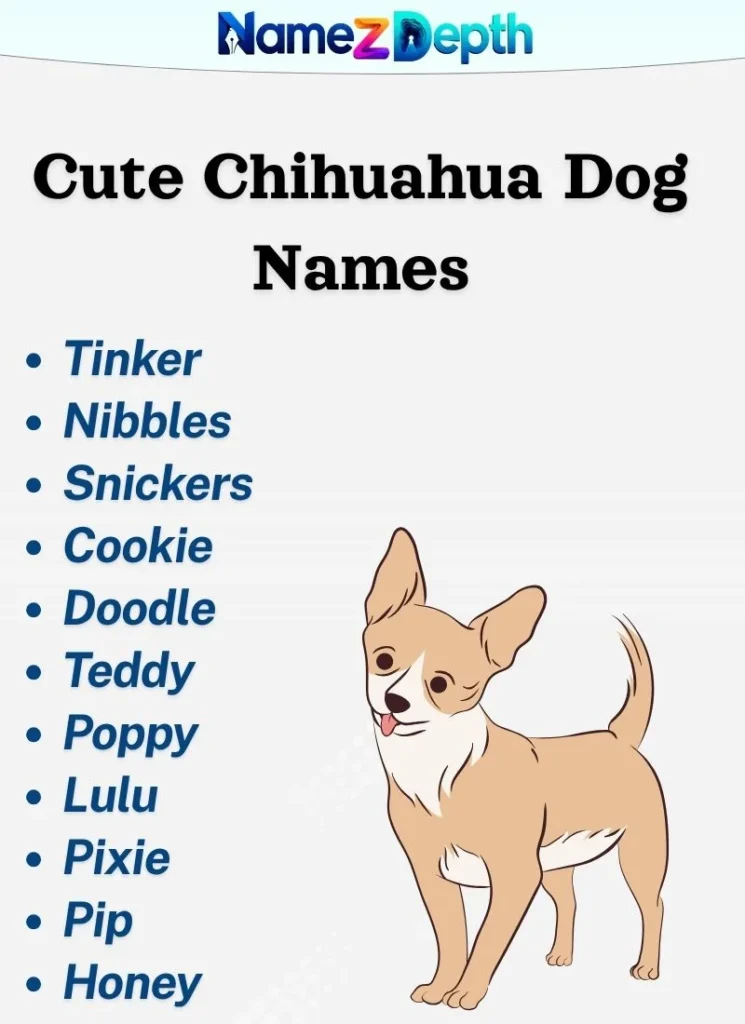 Cute Chihuahua Dog Names