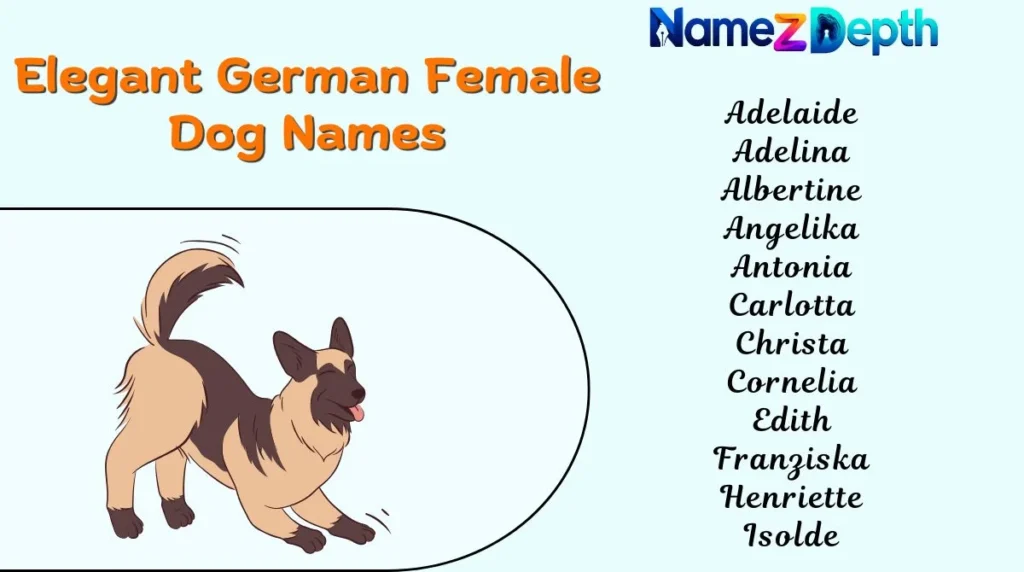 Elegant German Female Dog Names