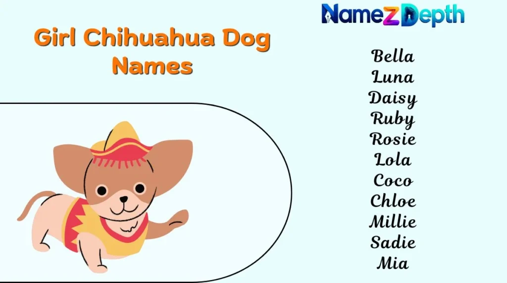 Girl Chihuahua Dog Names