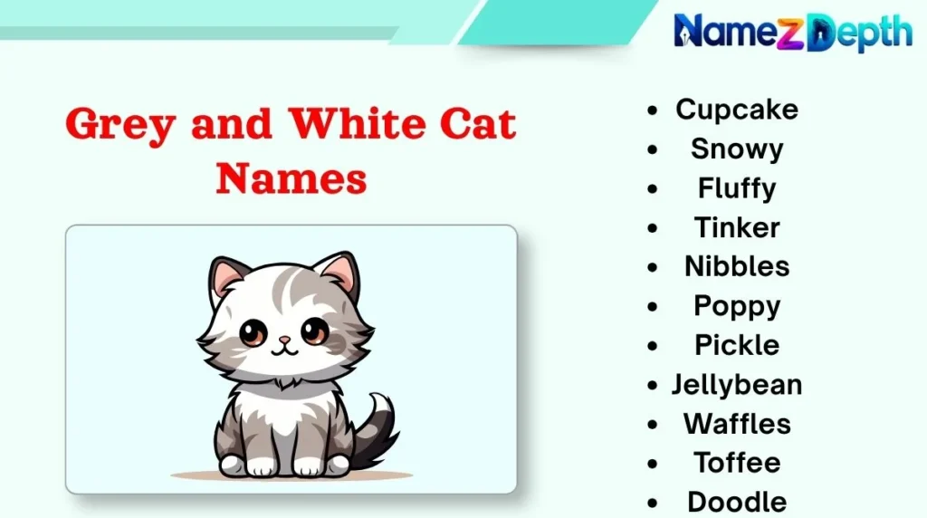 Grey and White Cat