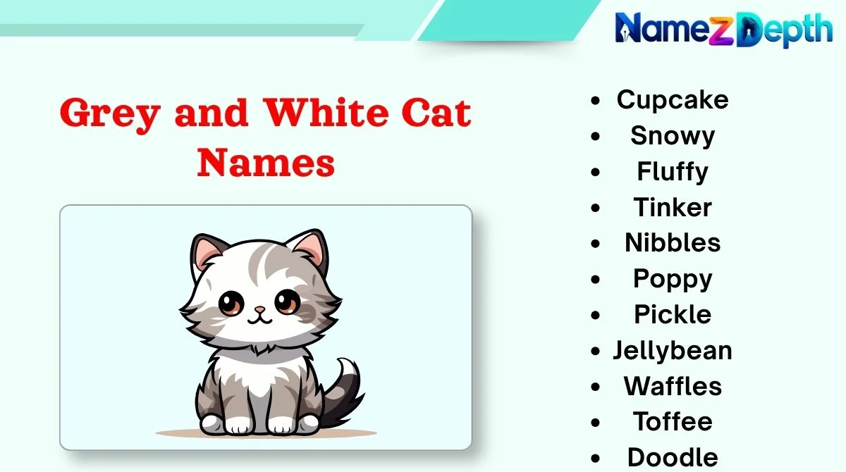 Grey and White Cat