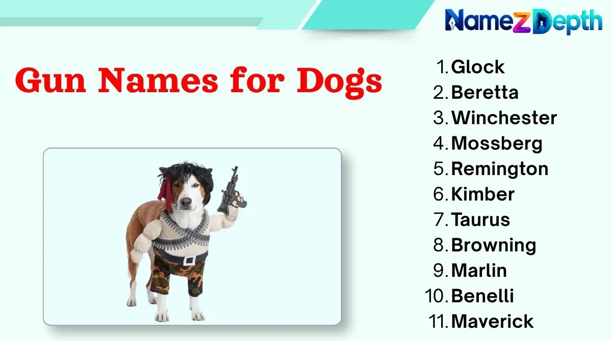 Gun Names for Dogs