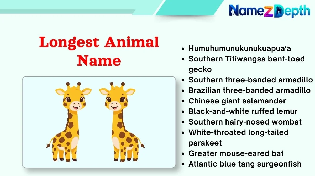 Longest Animal Name