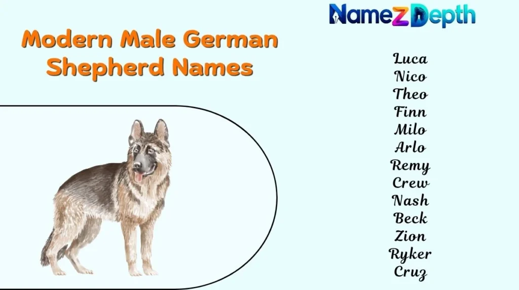 Modern Male German Shepherd Names