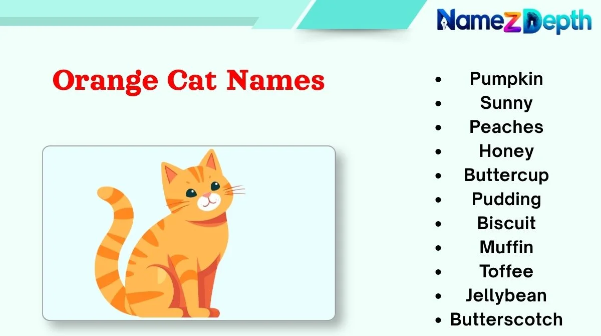 Orange Cat Names