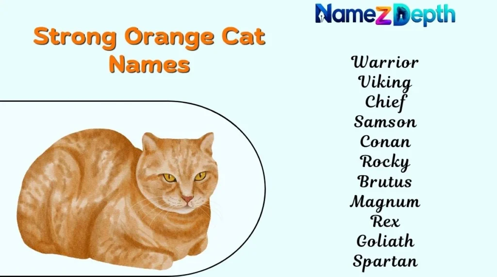 Strong Orange Cat Names