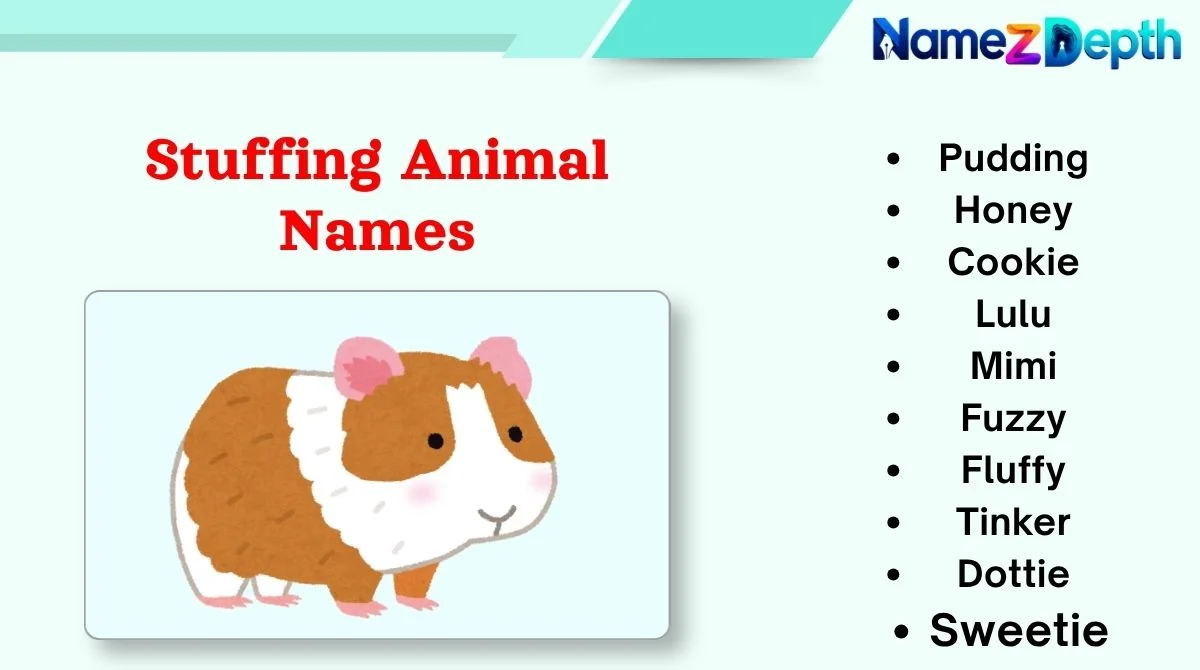 Stuffing Animal Names
