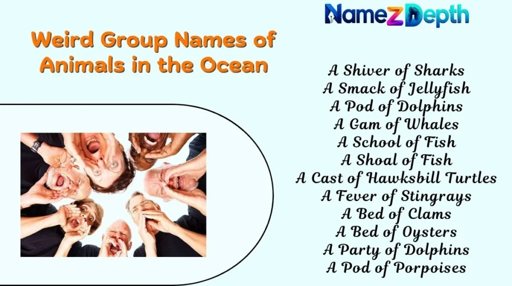 Weird Group Names of Animals in the Ocean