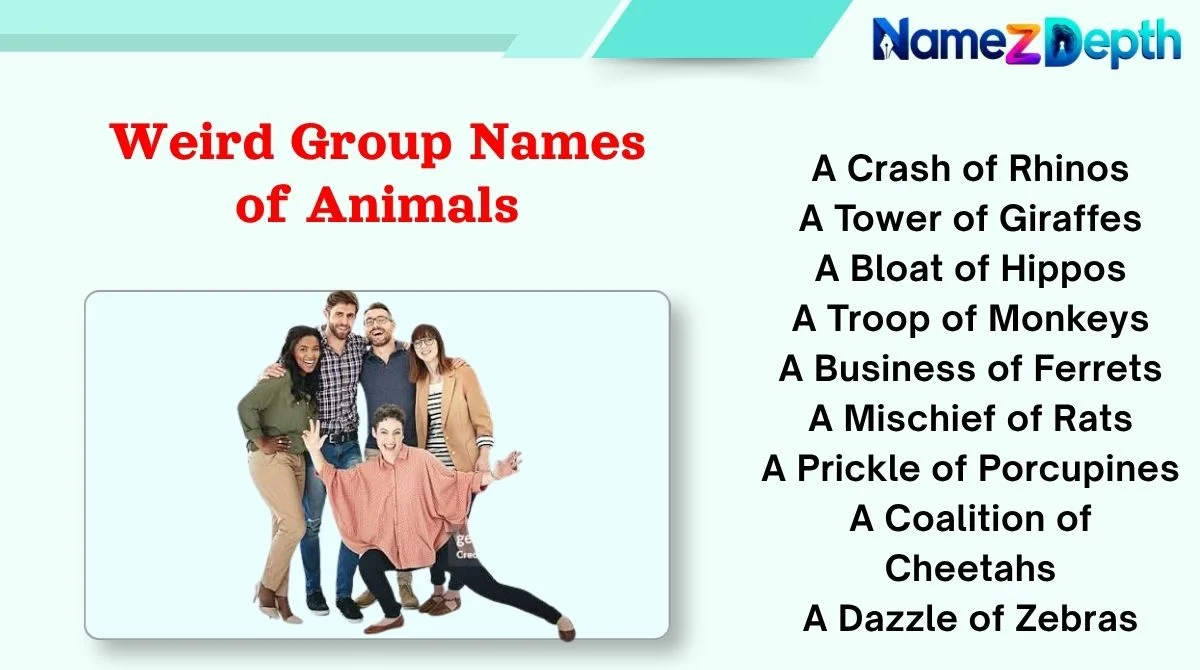Weird Group Names of Animals