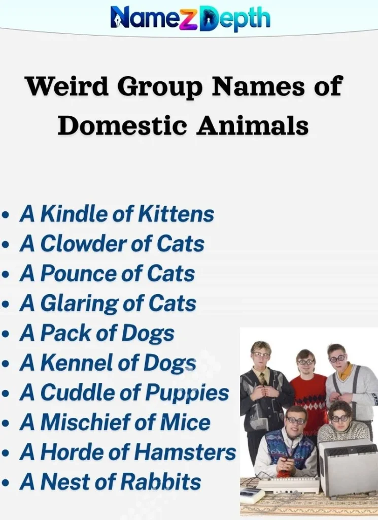 Weird Group Names of Domestic Animals