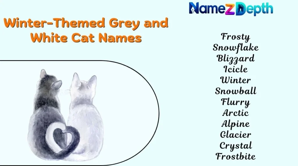 Winter-Themed Grey and White Cat Names