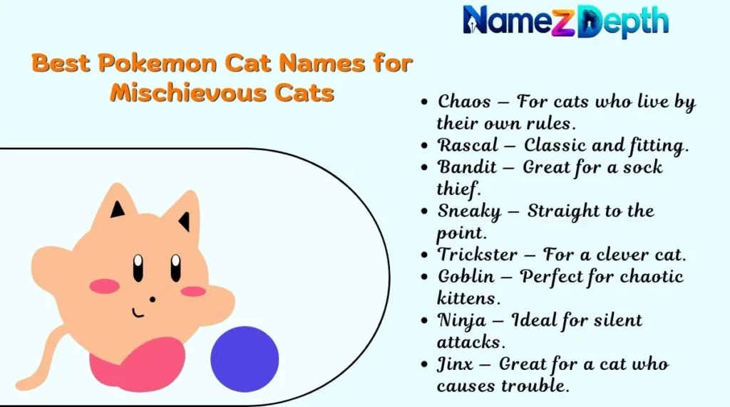 Best Pokemon Cat Names for Mischievous Cats