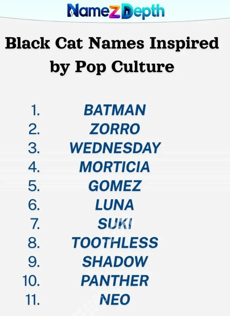 Black Cat Names Inspired by Pop Culture