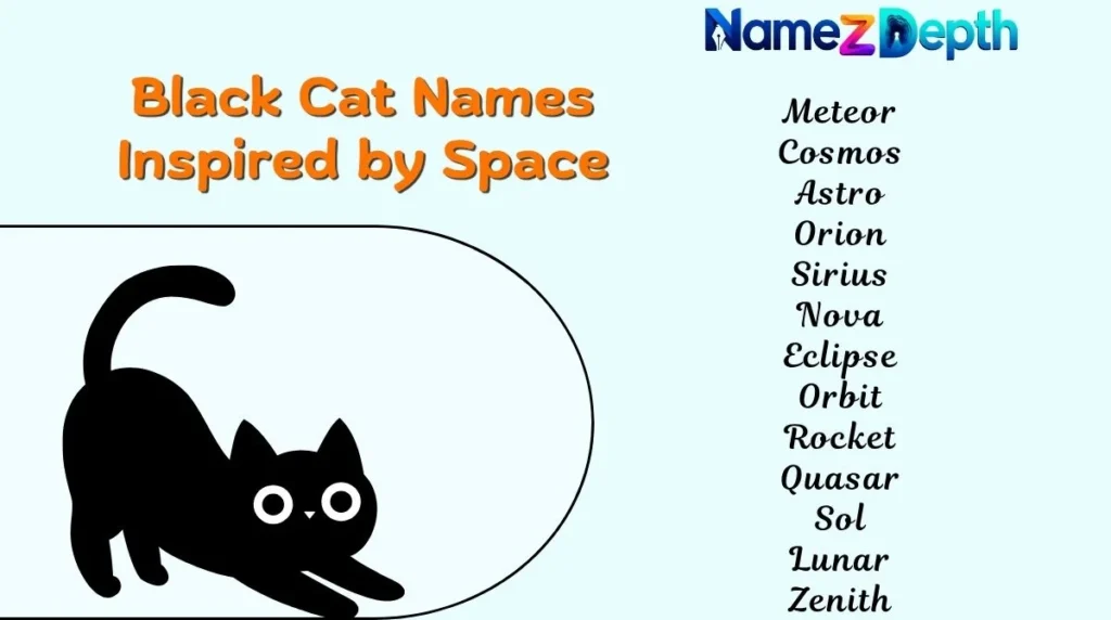Black Cat Names Inspired by Space