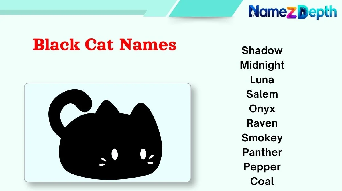 Black Cat Names
