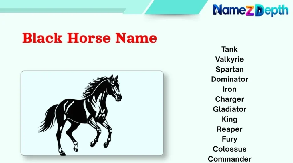 Black Horse Name