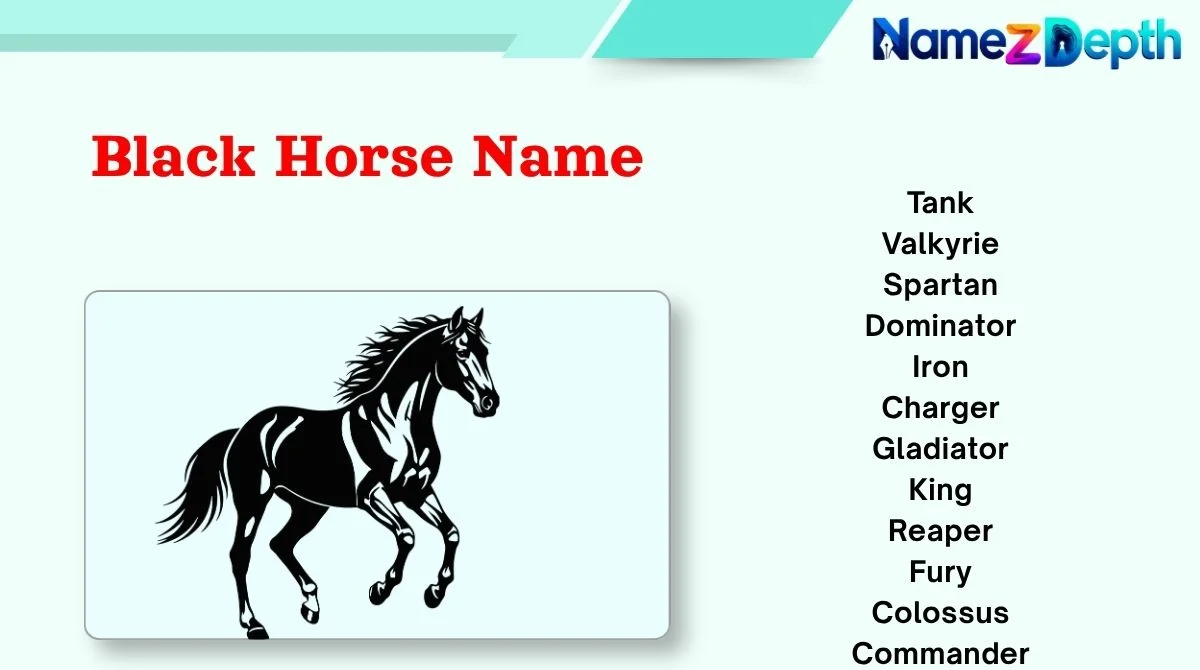 Black Horse Name