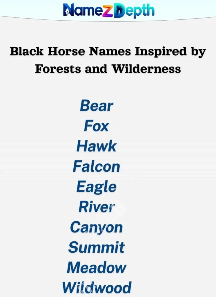 Black Horse Names Inspired by Forests and Wilderness