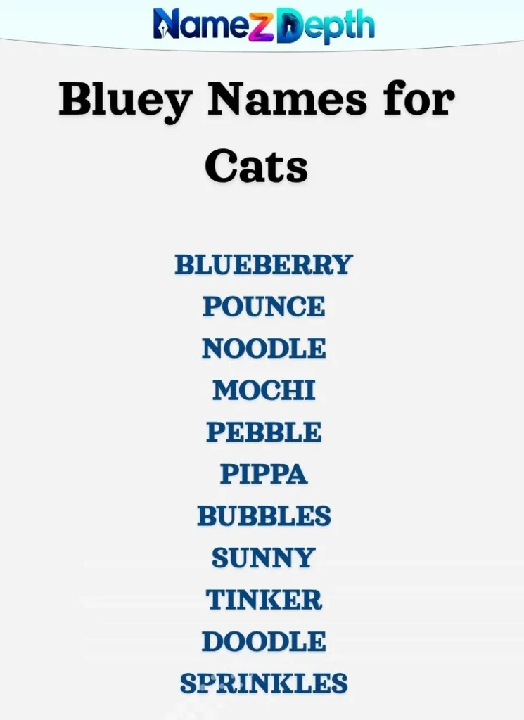 Bluey Names for Cats