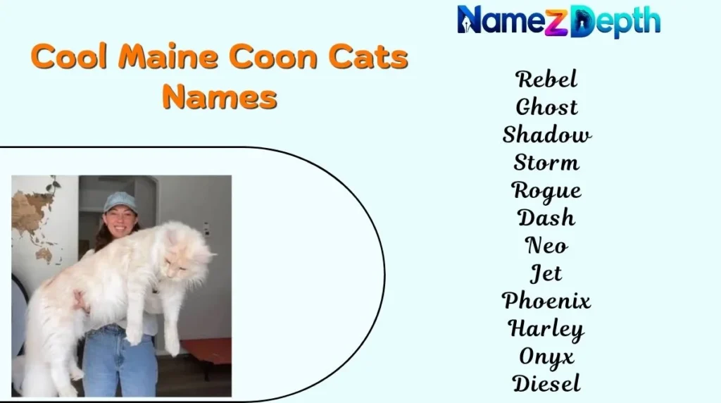 Cool Maine Coon Cats Names