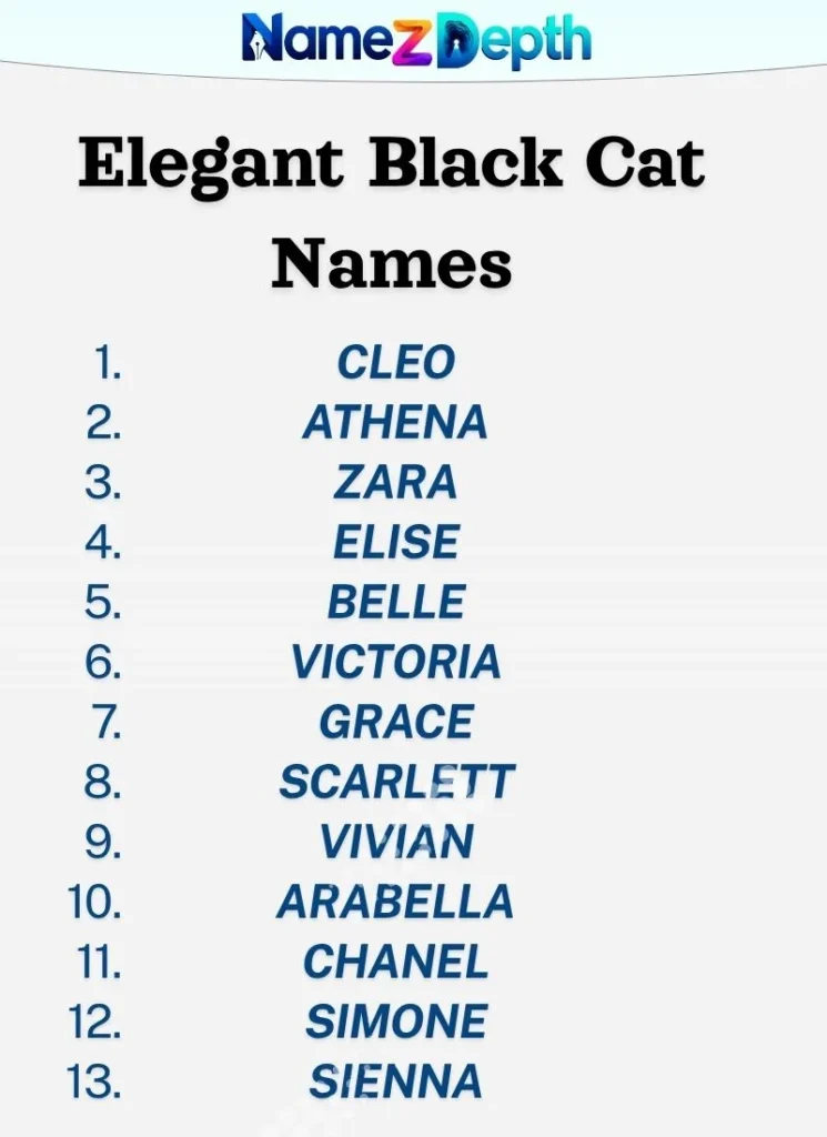 Elegant Black Cat Names
