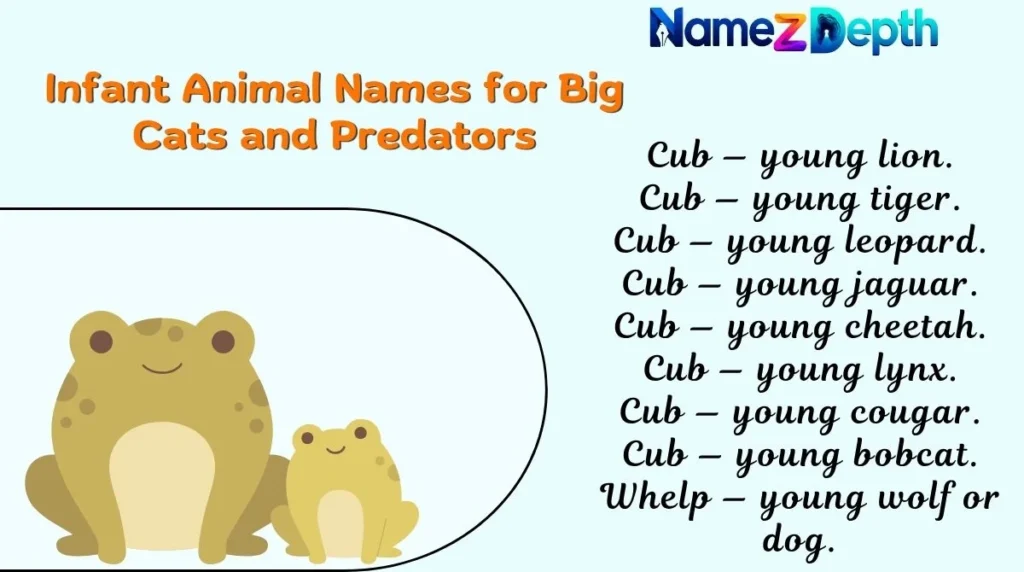 Infant Animal Names for Big Cats and Predators π―