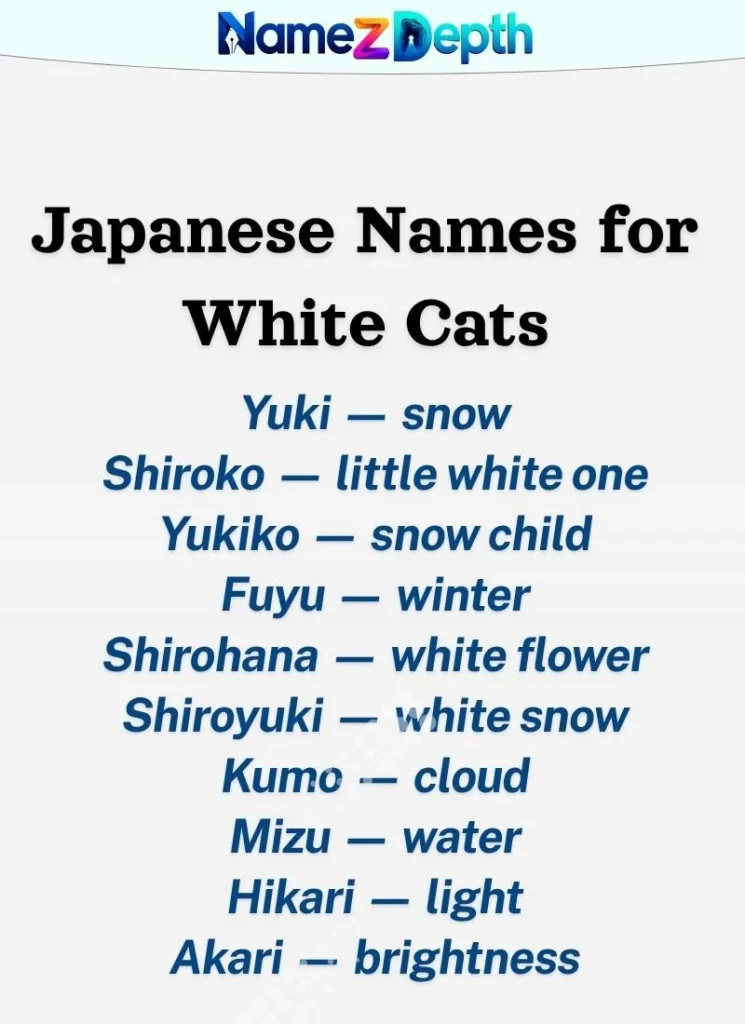 Japanese Names for White Cats