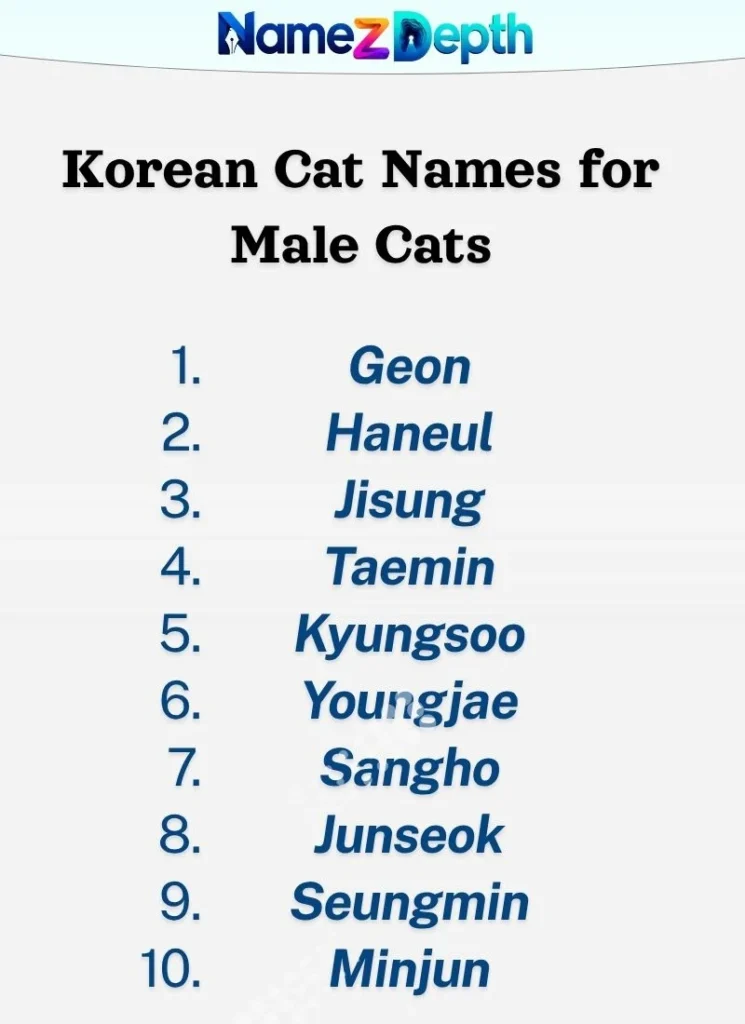 Korean Cat Names for Male Cats
