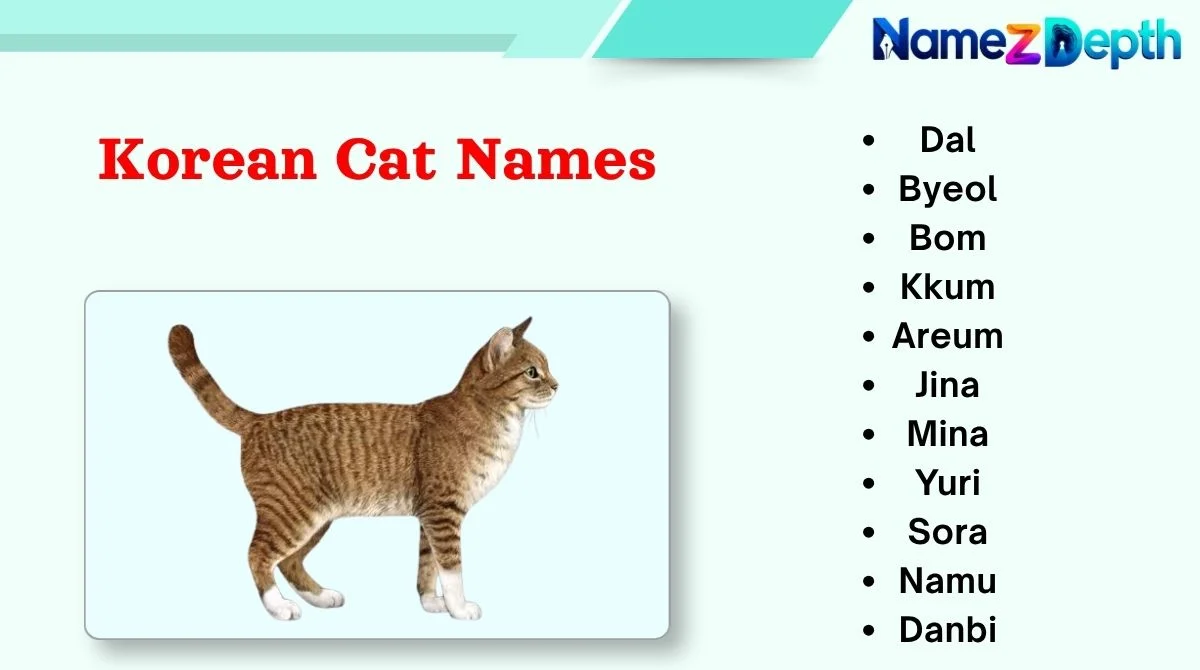 Korean Cat Names