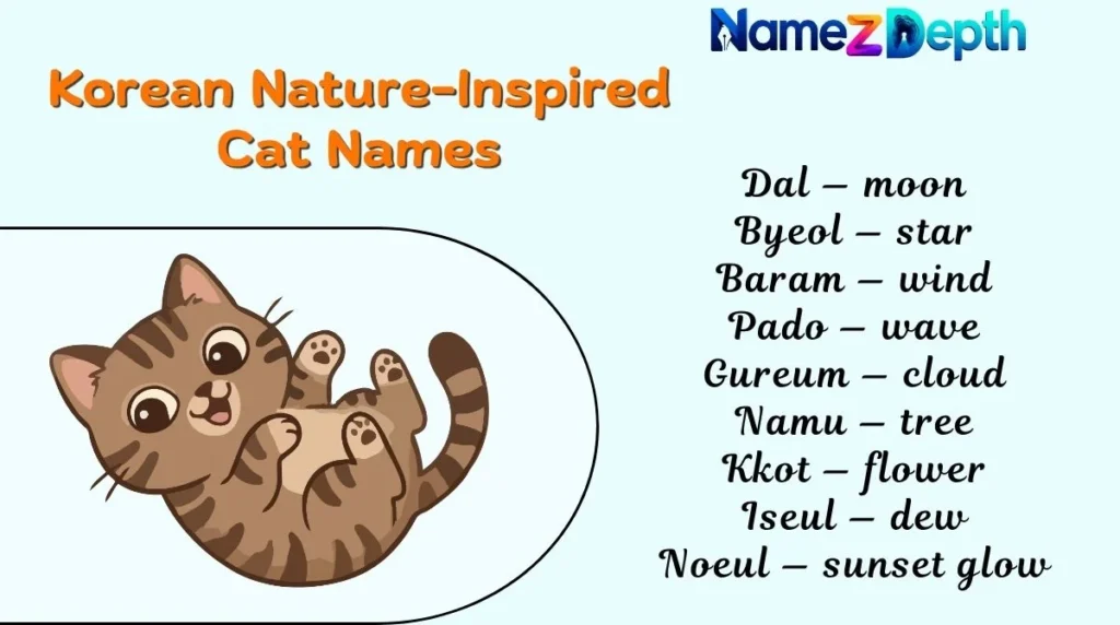 Korean Nature-Inspired Cat Names