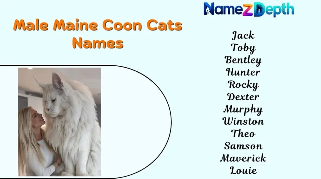 Male Maine Coon Cats Names
