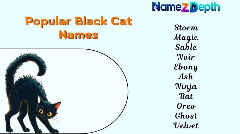 Popular Black Cat Names