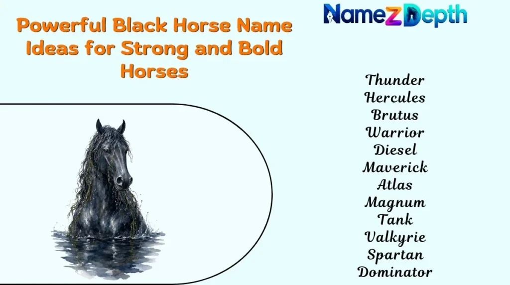 Powerful Black Horse Name Ideas for Strong and Bold Horses