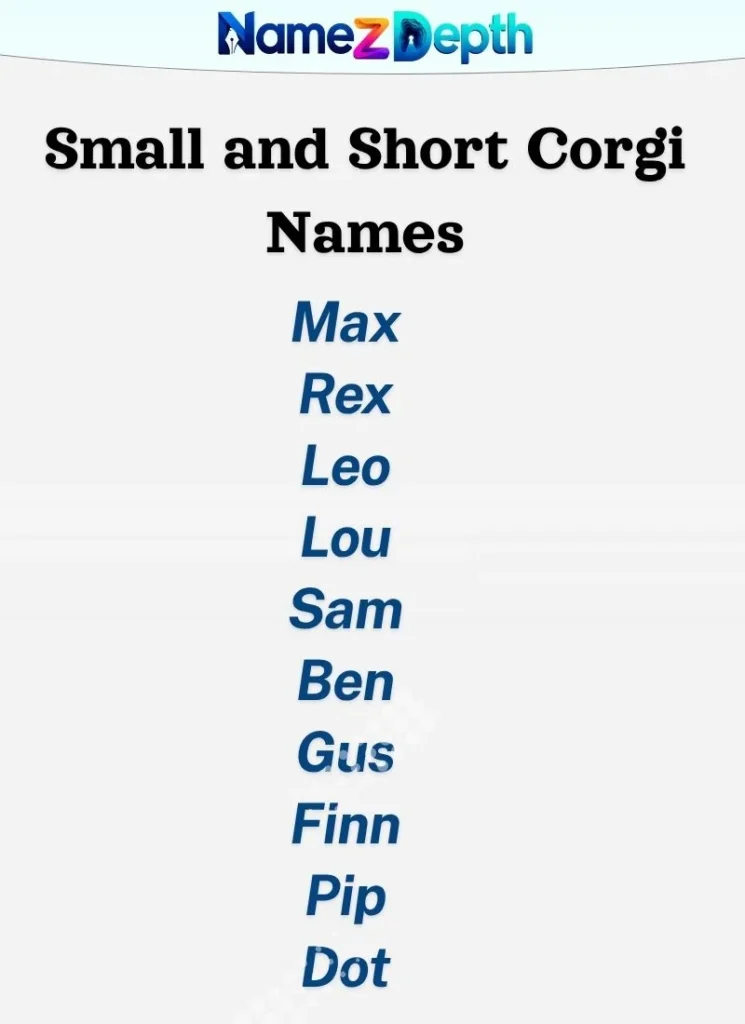 Small and Short Corgi Names