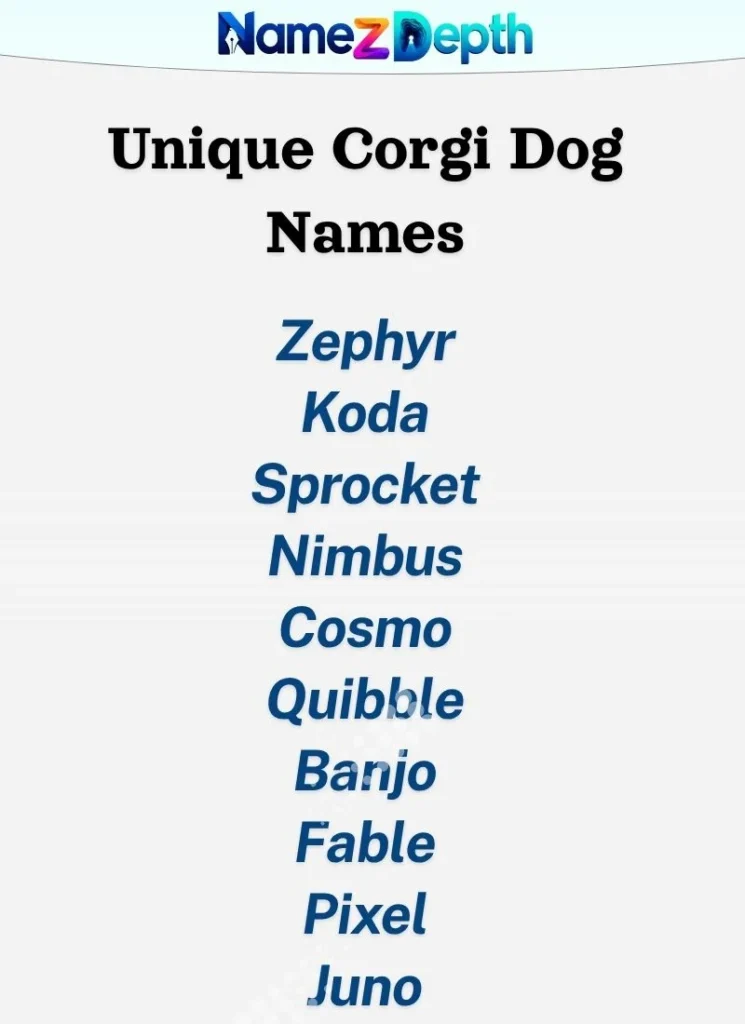 Unique Corgi Dog Names