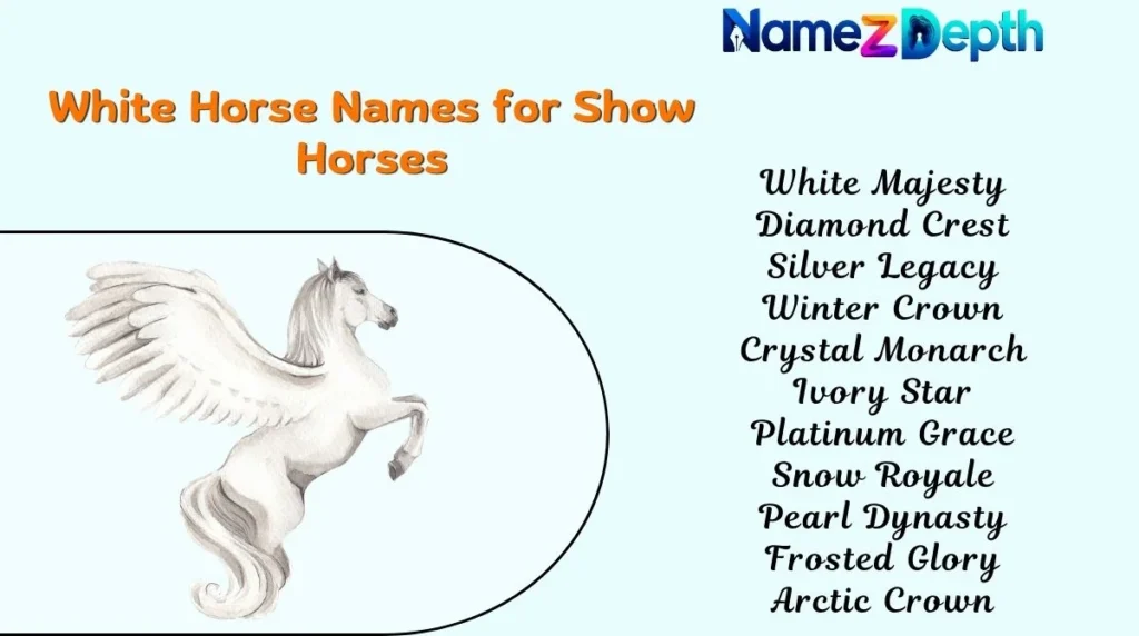White Horse Names for Show Horses