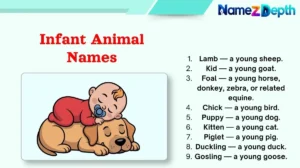 Infant Animal Names