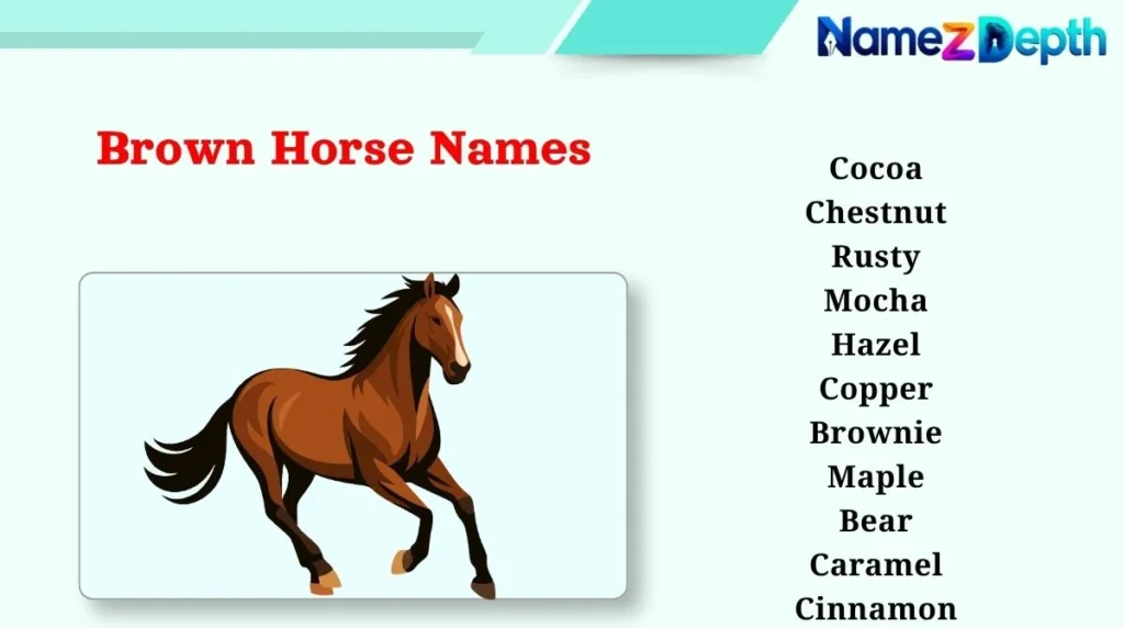 Brown Horse Names