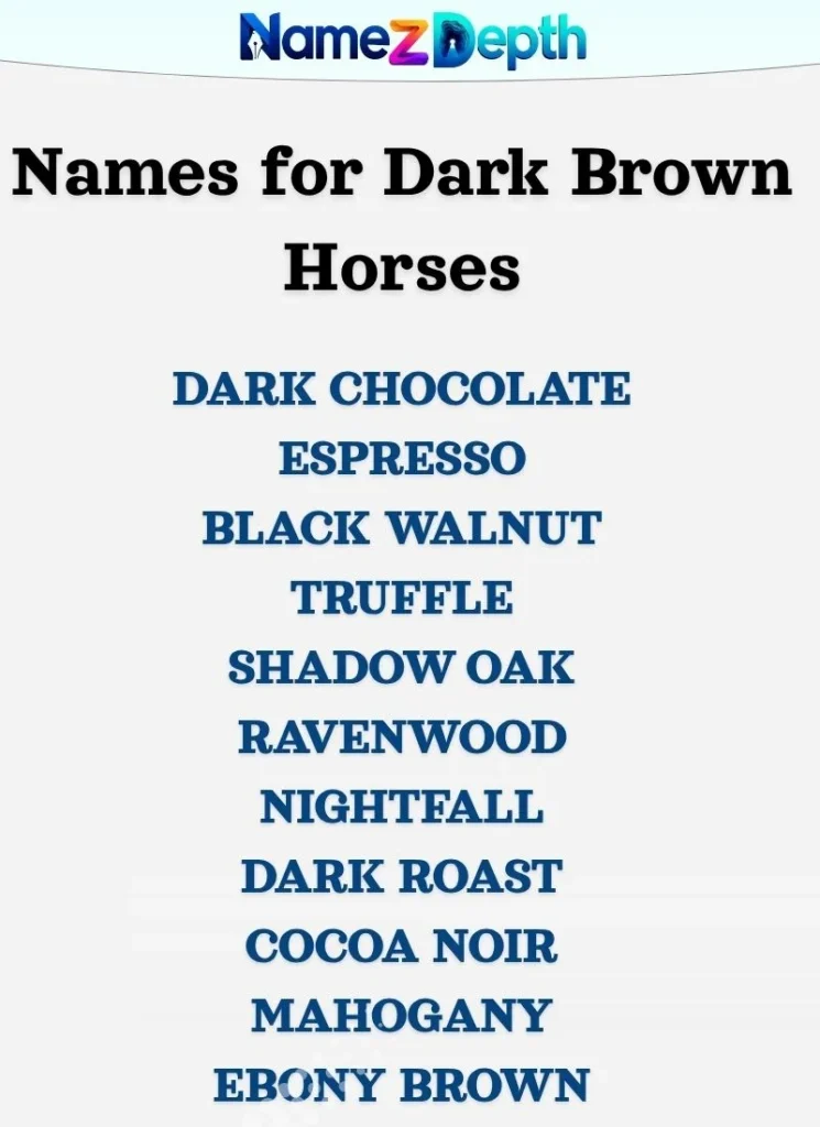 Names for Dark Brown Horses